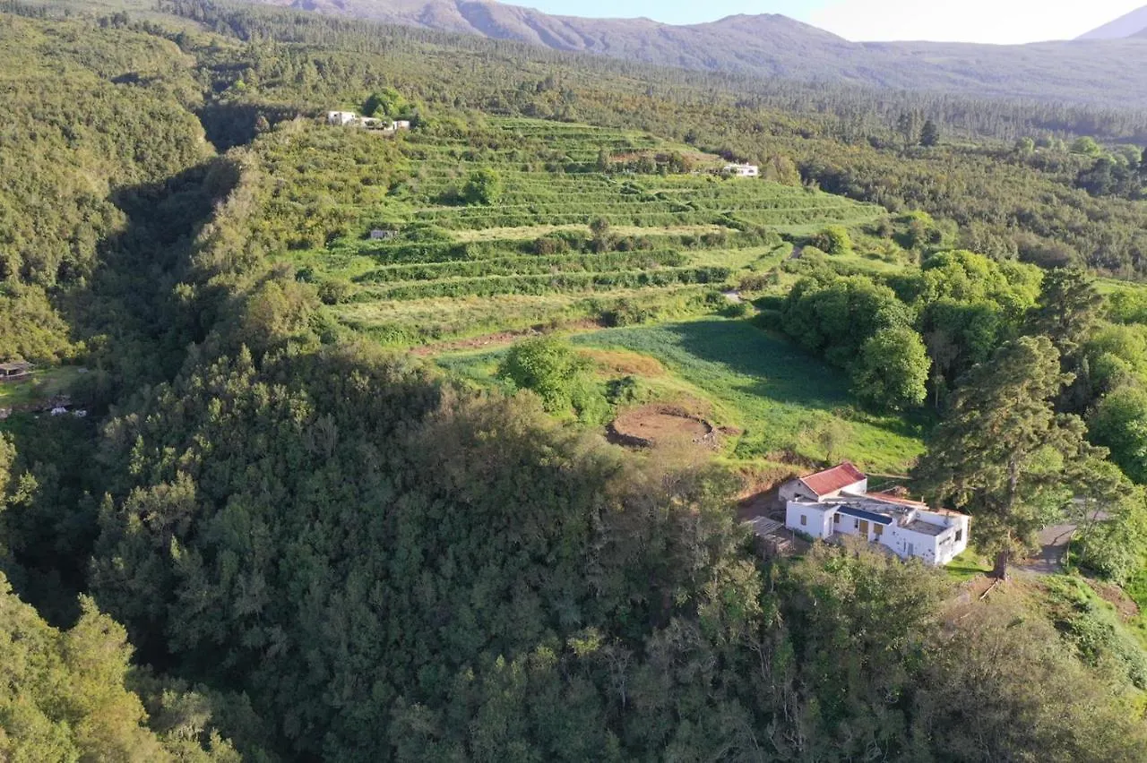 El Pino Centenario 8 La Orotava 0*,  Spain