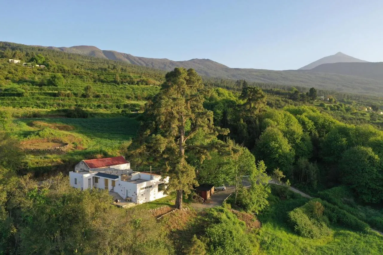 El Pino Centenario 8 La Orotava Villa